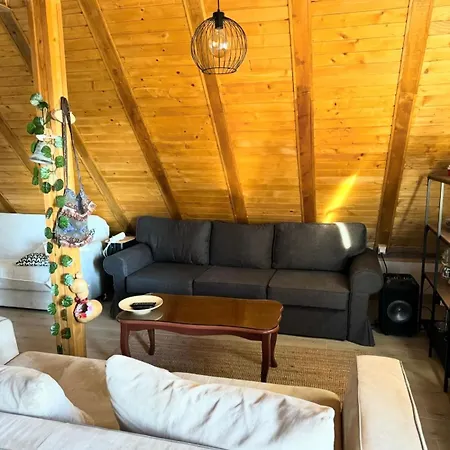 Vikendica Sa Bazenom U Blizini Beograda *