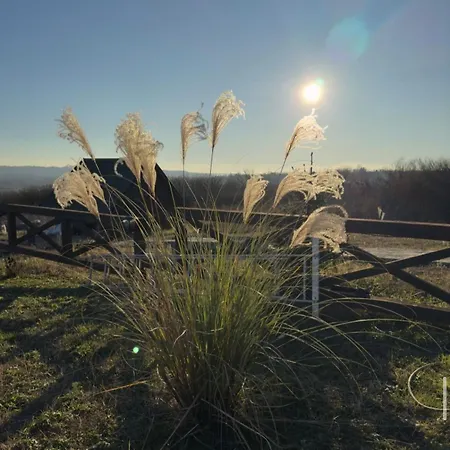Semesterbostad Vikendica Sa Bazenom U Blizini Beograda