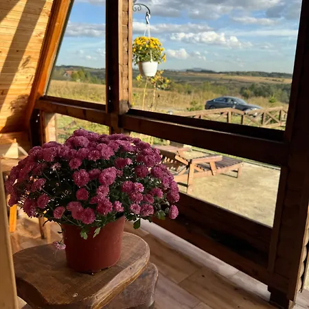 Vikendica Sa Bazenom U Blizini Beograda *